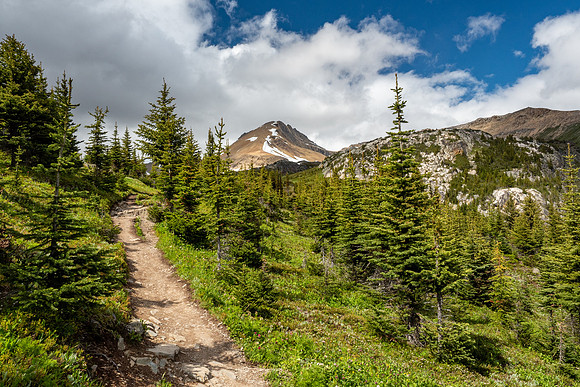 Pacific NW 2019