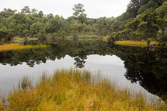 New Zealand 2013