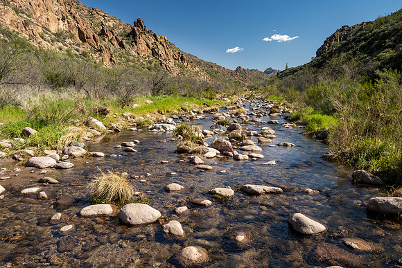 Arizona 2020
