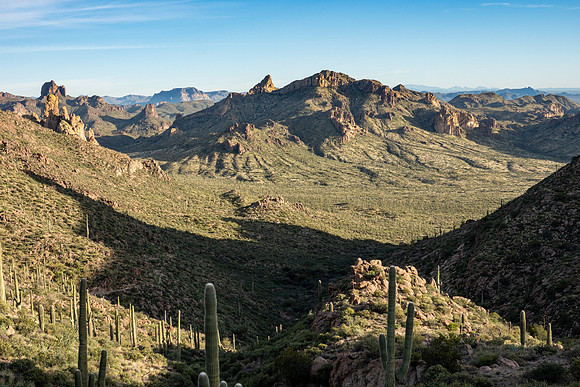 Arizona 2019