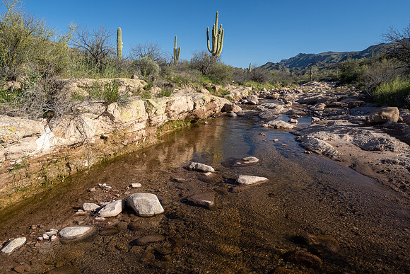 Arizona 2020