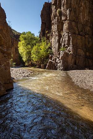 Arizona 2022