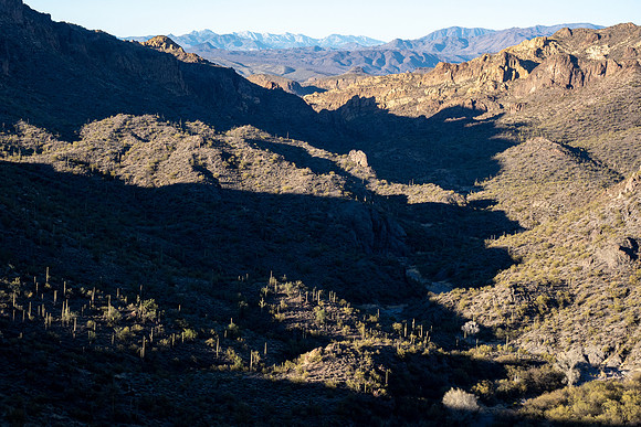 Arizona 2021