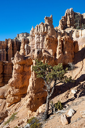Bryce Canyon National Park 2022