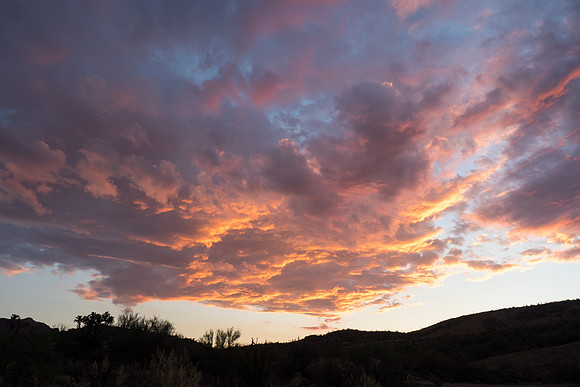 Arizona 2018