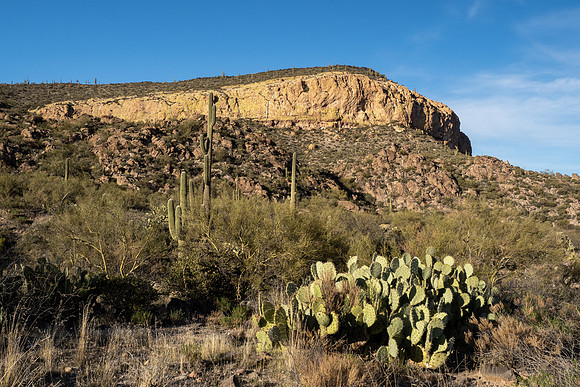 Arizona 2021