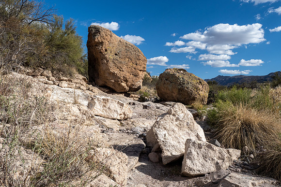 Arizona 2021