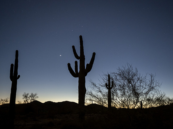 Arizona 2020