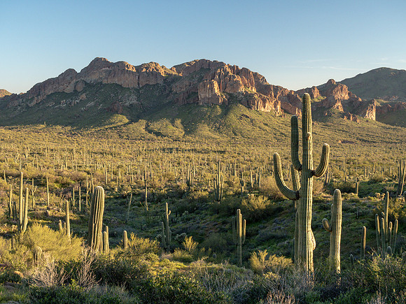 Arizona 2019