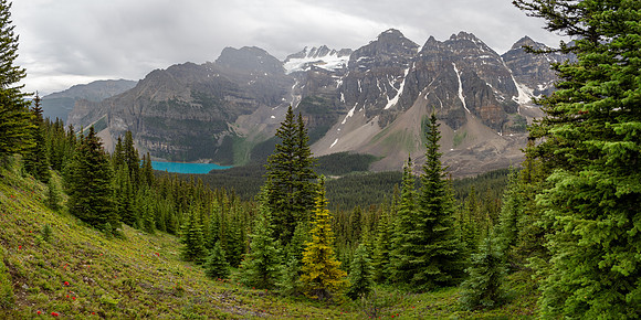 Banff National Park 2025