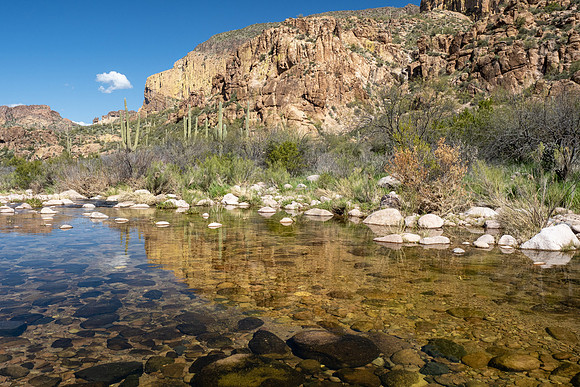 Arizona 2020