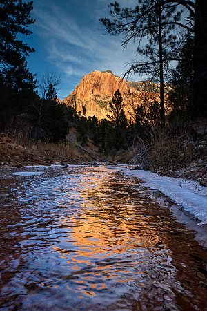 Zion National Park 2024