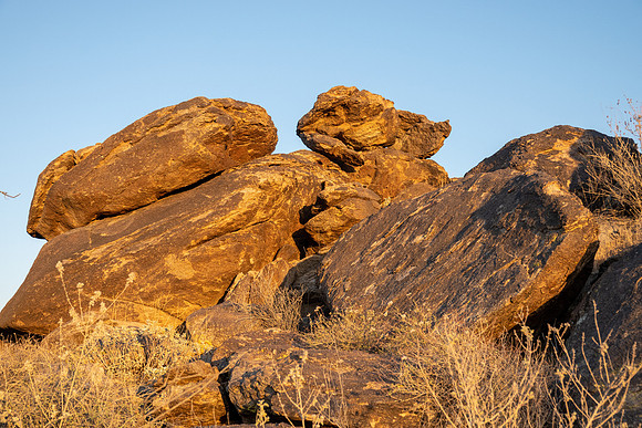 Arizona 2021