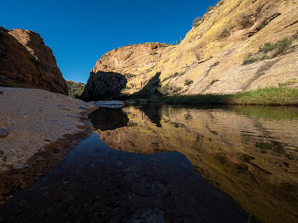 Arizona 2019