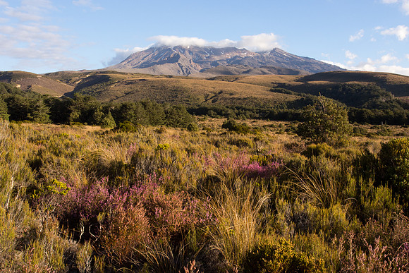 New Zealand 2013