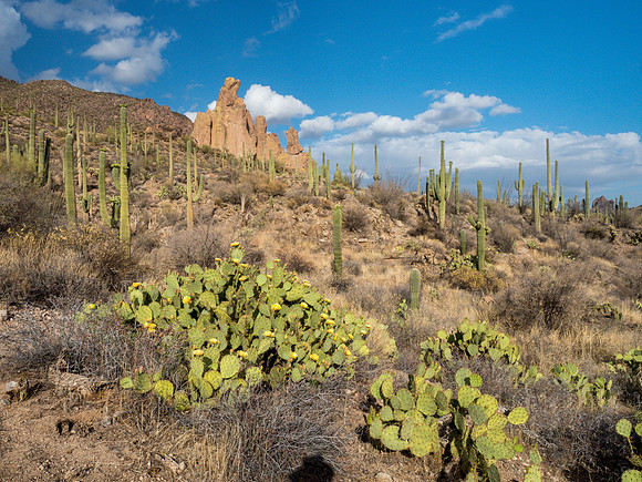 Arizona 2018
