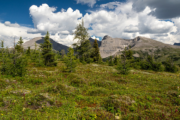 Banff National Park 2025