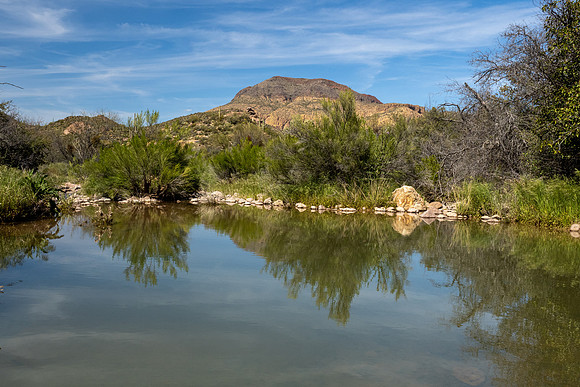 Arizona 2020