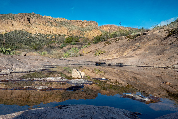 Arizona 2019