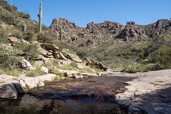 Arizona 2020