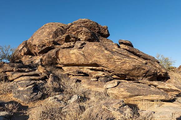 Arizona 2019