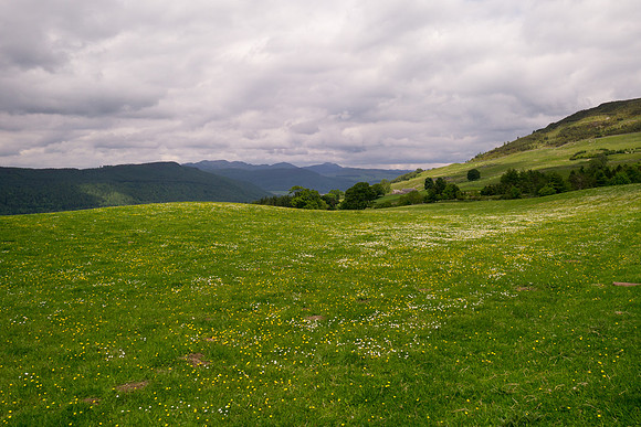 Scotland 2012