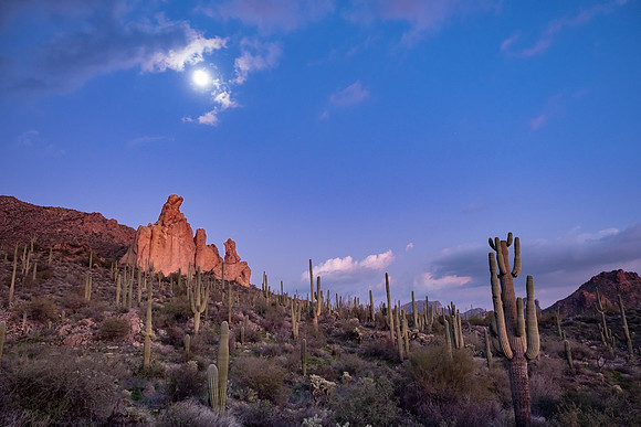 Arizona 2019