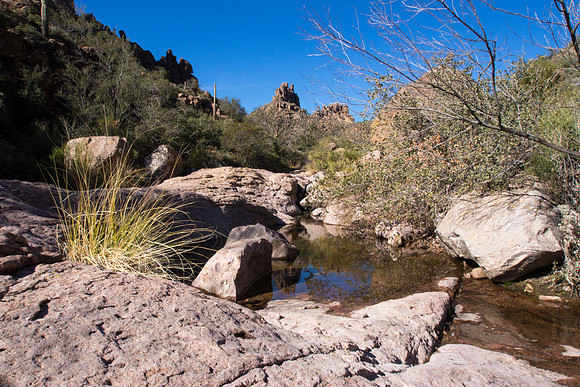 Arizona 2013 - Superstitions Hike Bluff Spring Loop