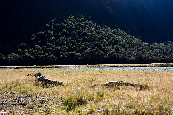 New Zealand 2013