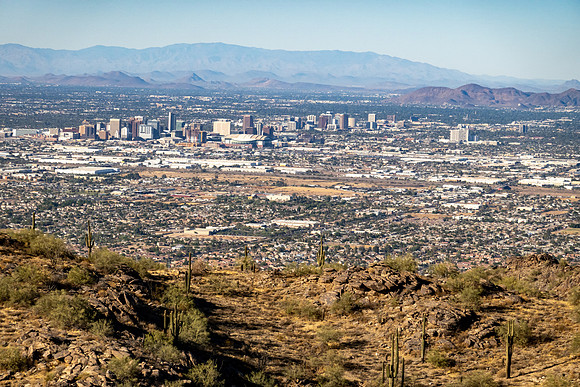 Arizona 2020