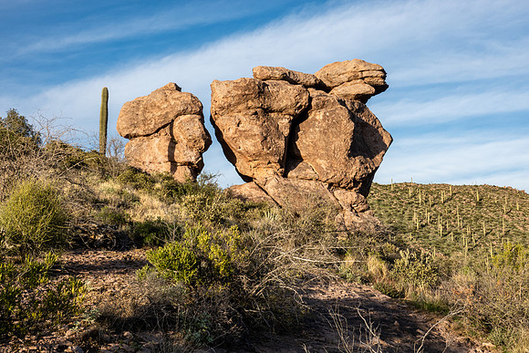 Arizona 2019