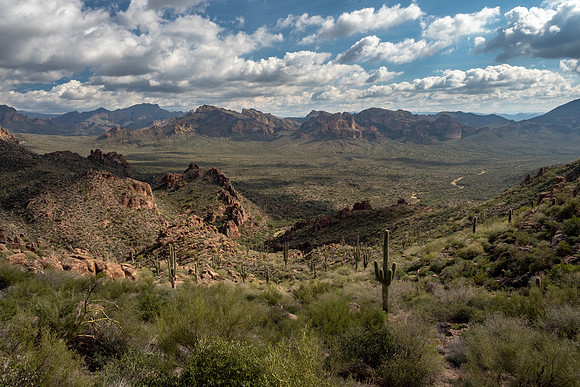 Arizona 2019