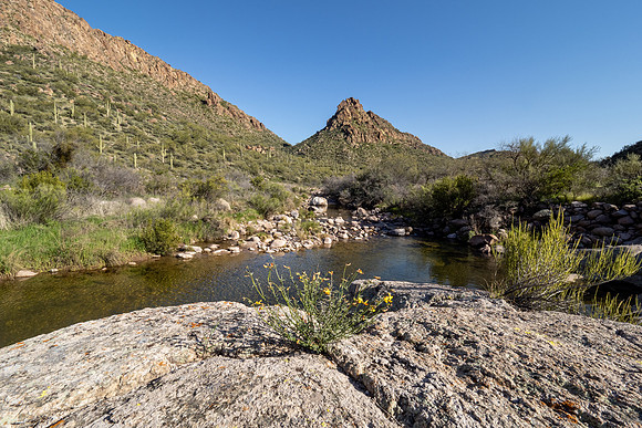 Arizona 2020