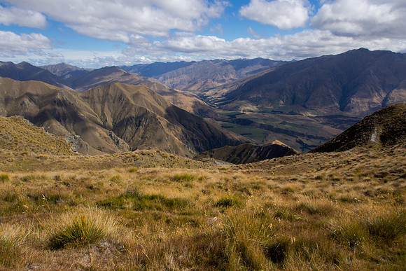 New Zealand 2013