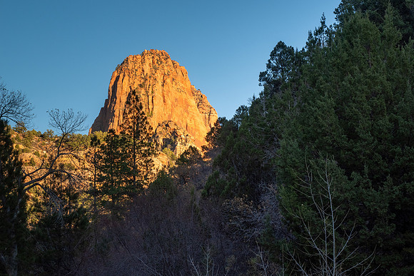 Zion National Park 2024