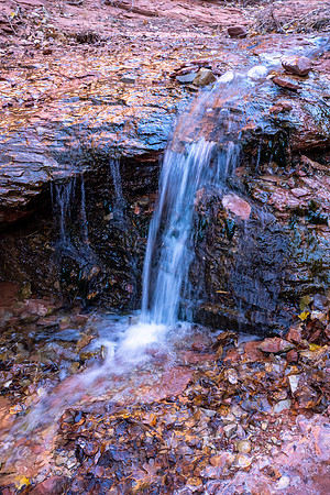 Zion National Park 2024