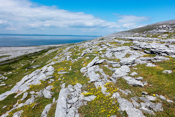 Ireland 2014 - Burren