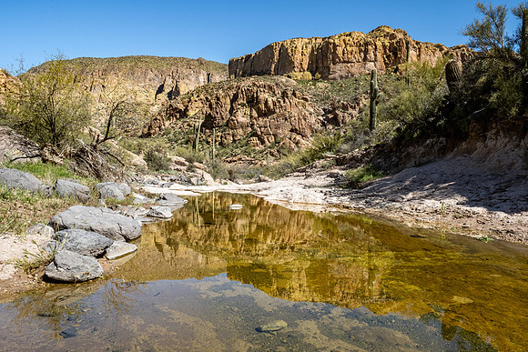 Arizona 2020