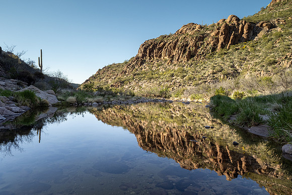 Arizona 2020