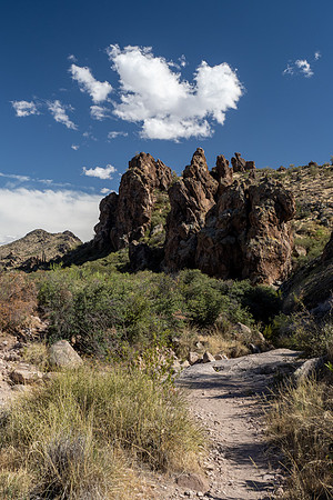 Arizona 2021