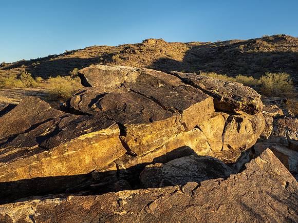 Arizona 2020