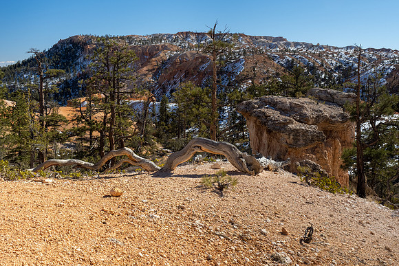 Bryce Canyon National Park 2022