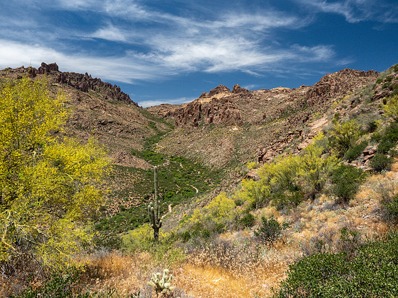 Arizona 2019