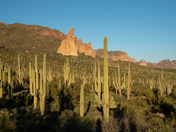Arizona 2019