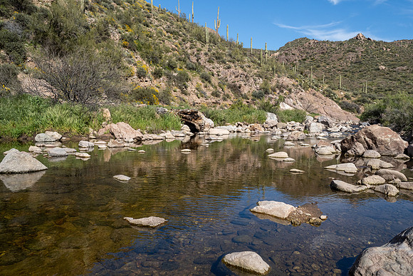 Arizona 2020