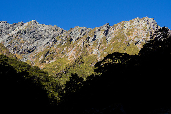 New Zealand 2013