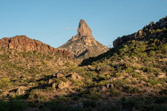 Arizona 2019