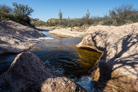 Arizona 2020