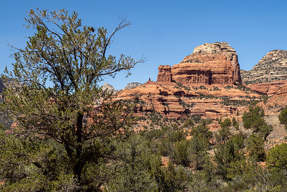 Arizona 2021