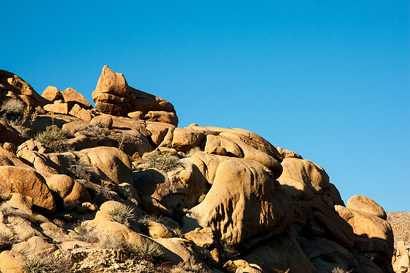 Joshua Tree National Park